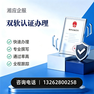 扬州双软认证申报服务