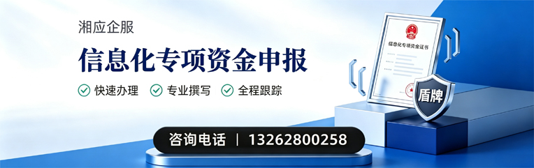 扬州信息化专项资金申报服务