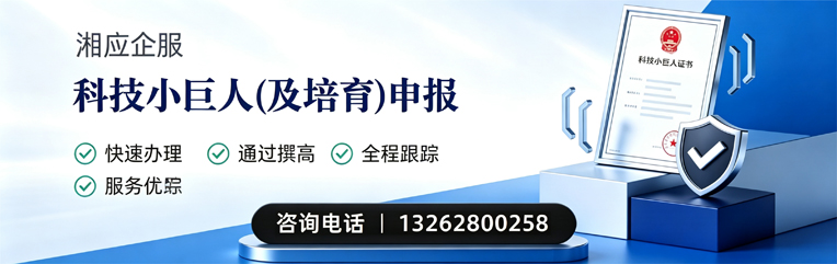扬州科技小巨人及培育企业申报服务