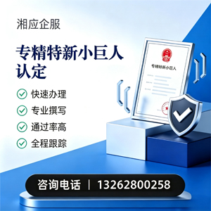 扬州专精特新小巨人申报服务