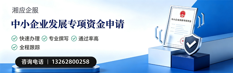 扬州中小企业发展专项资金申报服务