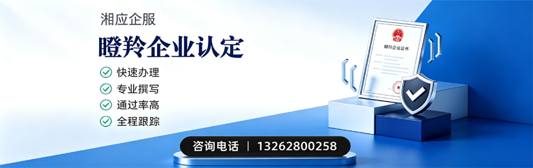 扬州瞪羚企业认定申报服务