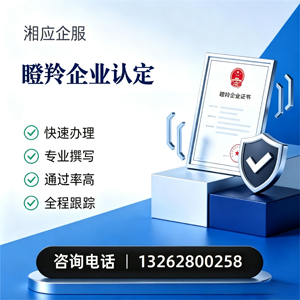 扬州瞪羚企业认定申报服务