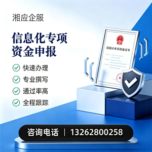 扬州信息化专项资金申报服务