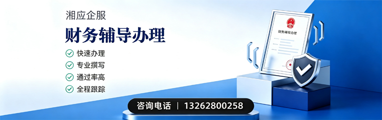 扬州财务辅导申请服务