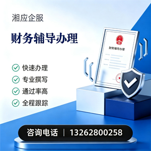 扬州财务辅导申请服务
