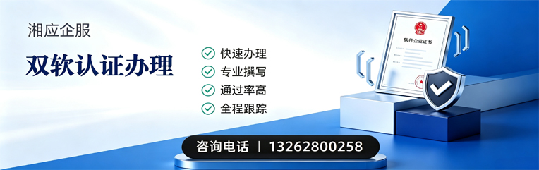 扬州双软认证申报服务