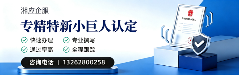 扬州专精特新小巨人申报服务